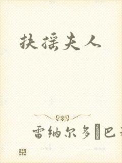 扶摇夫人封面