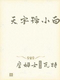 天字号小白脸封面