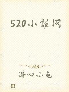520小说网