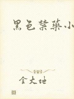 黑色禁药小说