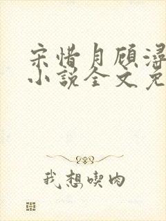 宋惜月顾浔渊的小说全文免费阅读