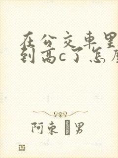 在公交车里c弄到高c了怎么办封面