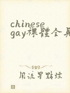 chinesegay裸体全见