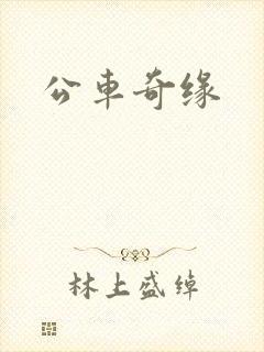 公车奇缘