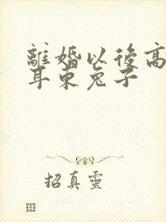 离婚以后高干 耳东兔子