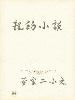 龙的小说