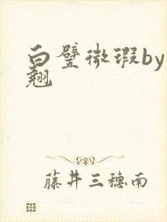 白璧微瑕by连翘