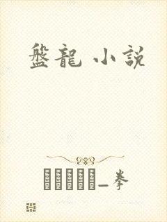 盘龙 小说