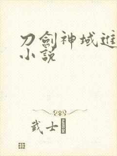 刀剑神域进击篇小说封面