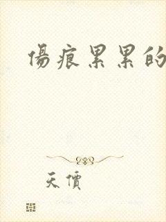 伤痕累累的勋章