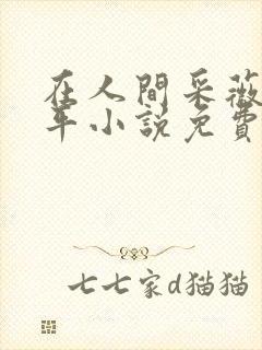 在人间采薇陆三平小说免费阅读