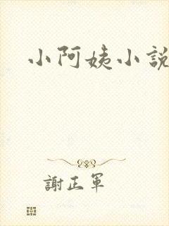 小阿姨小说