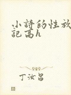 小诗的性放荡日记高h封面