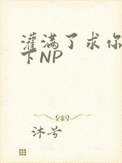 灌满了求你们停下NP