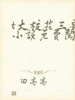 t大校花三部曲小说免费阅读全文