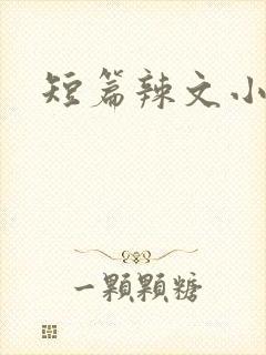 短篇辣文小说封面