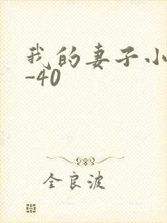 我的妻子小谨1-40