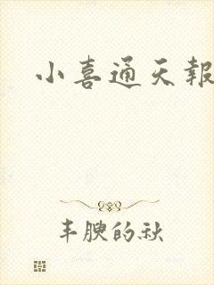 小喜通天报