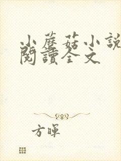 小蘑菇小说免费阅读全文