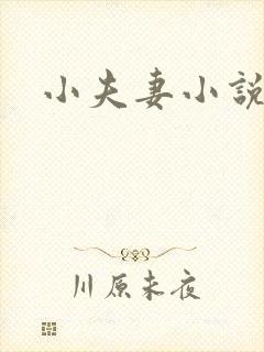 小夫妻小说