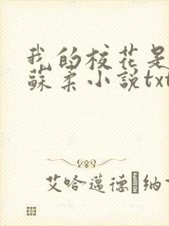 我的校花是福姬苏柔小说txt封面