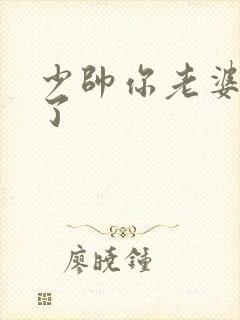 少帅你老婆又跑了