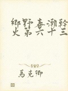 乡野春潮干柴烈火第六十三章封面