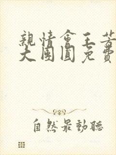 亲情会王芳高敏大团圆免费阅读