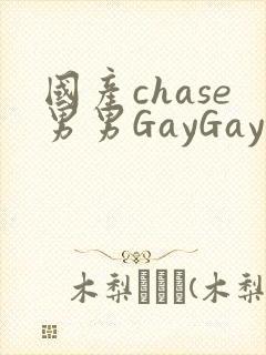 国产chase男男GayGay封面