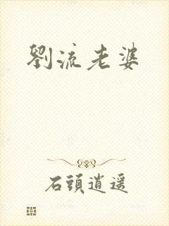 刘流老婆封面
