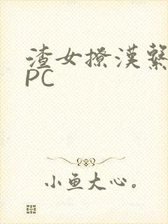 渣女撩汉系统NPC封面