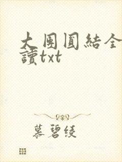 大团圆结全文阅读txt