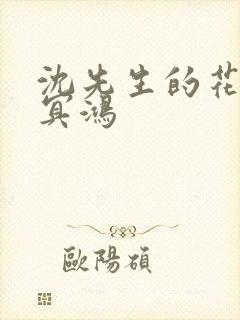 沈先生的花式调冥鸿