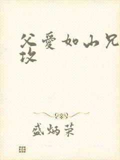父爱如山兄有弟攻封面