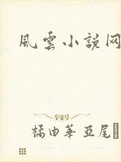 风云小说网