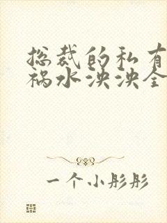 总裁的私有宝贝祸水泱泱全文阅读