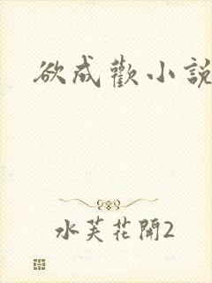 欲成欢小说封面