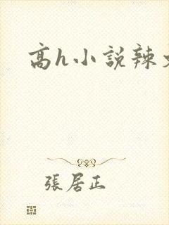 高h小说辣文