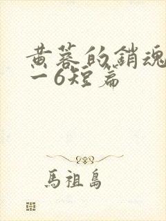 黄蓉的销魂夜1一6短篇