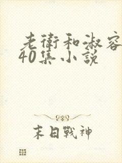 老卫和淑容1-40集小说