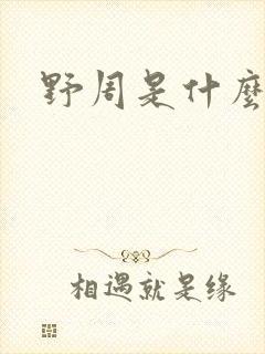野周是什么意思