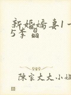 新婚娇妻1一25李晶