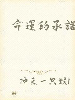 命运的承诺