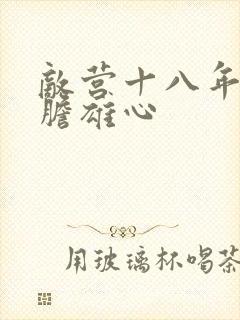 敌营十八年2虎胆雄心