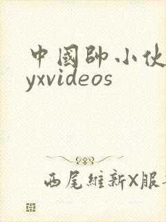 中国帅小伙gayxvideos封面