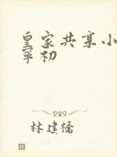 皇家共享小公主宁初