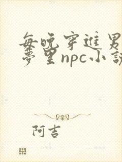 每晚穿进男神的梦里npc小说