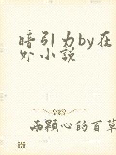 暗引力by在言外小说