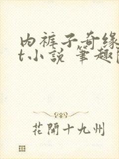 内裤子奇缘txt小说 笔趣阁