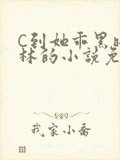 C到她乖黑暗森林的小说免费封面
